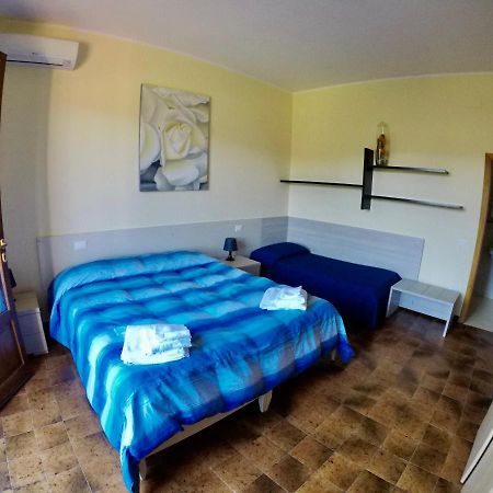 Agriturismo Eucaliptus Bolgheri Dış mekan fotoğraf