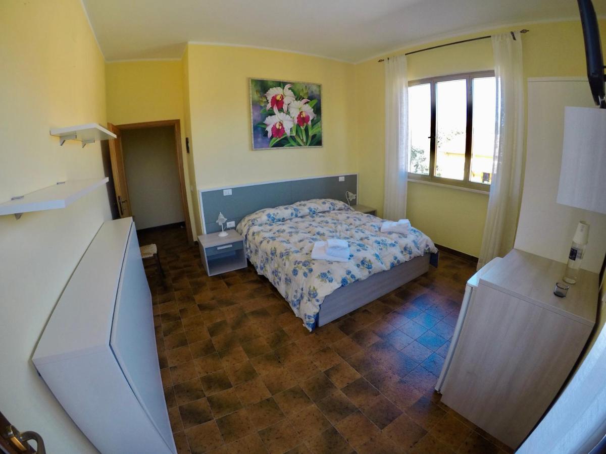 Agriturismo Eucaliptus Bolgheri Dış mekan fotoğraf