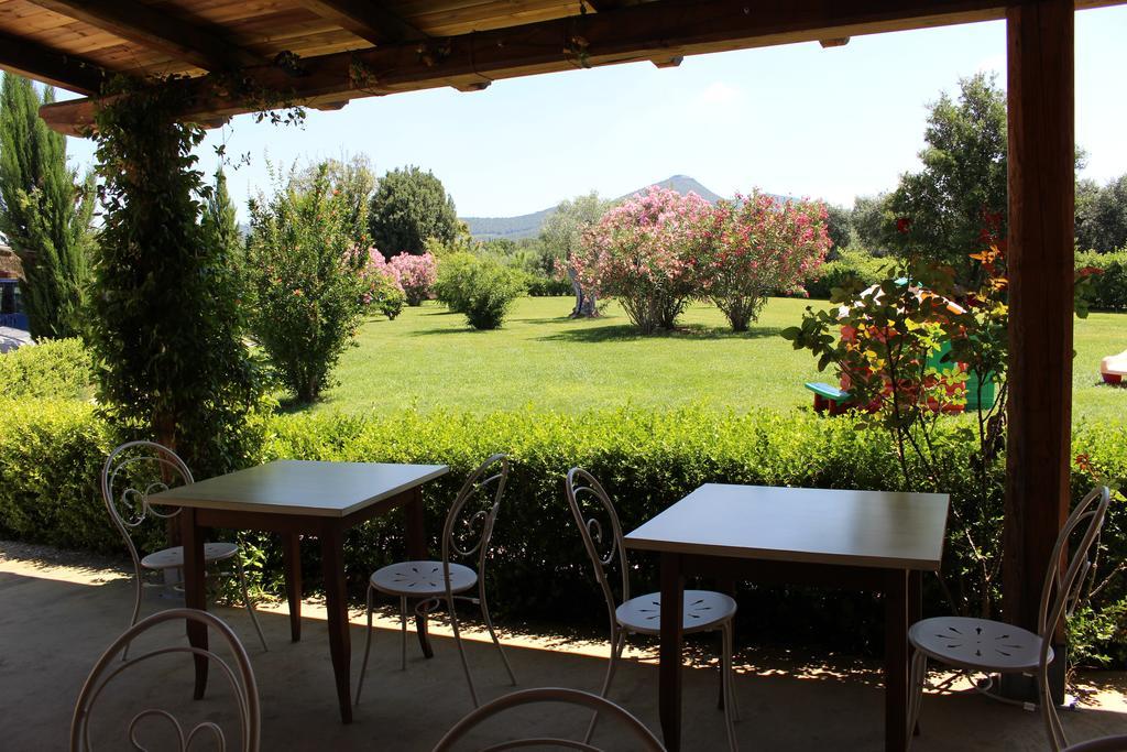 Agriturismo Eucaliptus Bolgheri Dış mekan fotoğraf