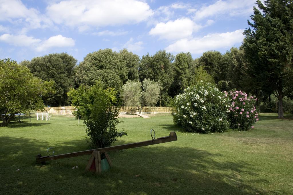 Agriturismo Eucaliptus Bolgheri Dış mekan fotoğraf