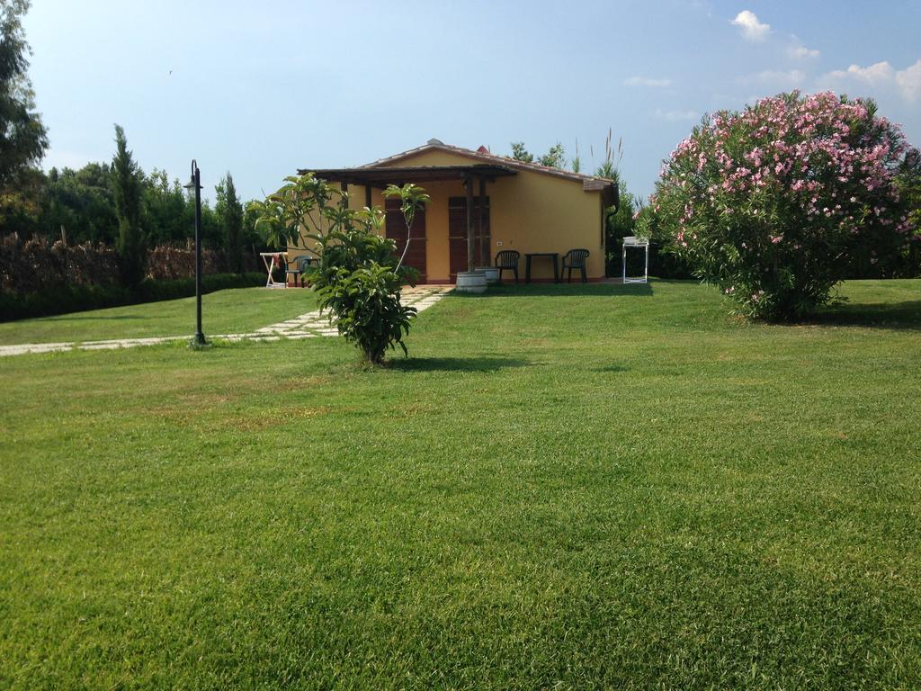 Agriturismo Eucaliptus Bolgheri Dış mekan fotoğraf