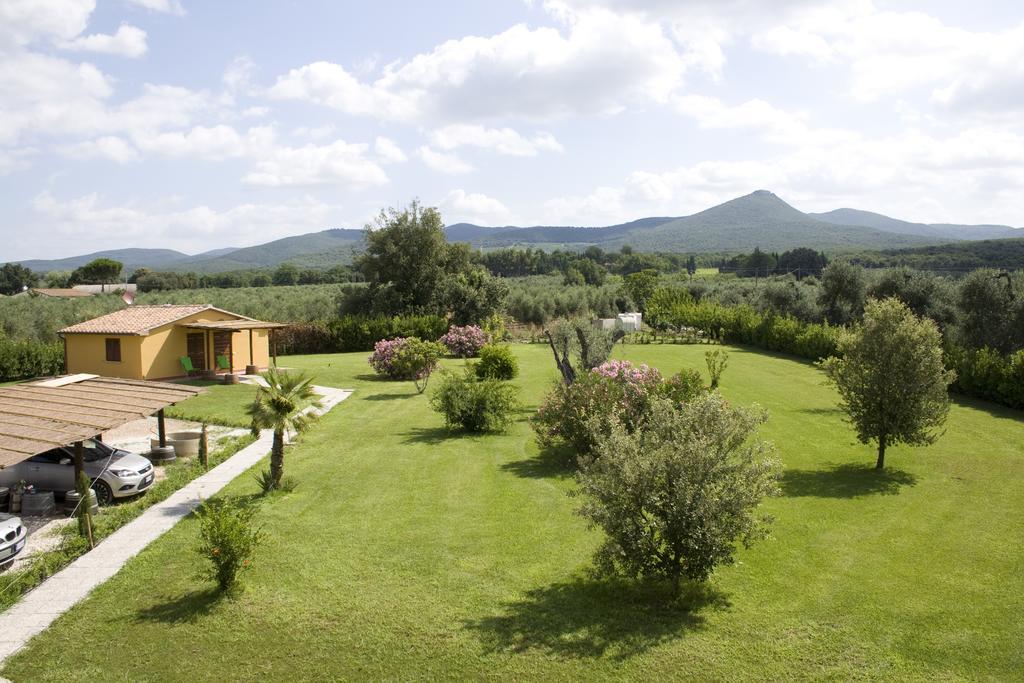 Agriturismo Eucaliptus Bolgheri Dış mekan fotoğraf