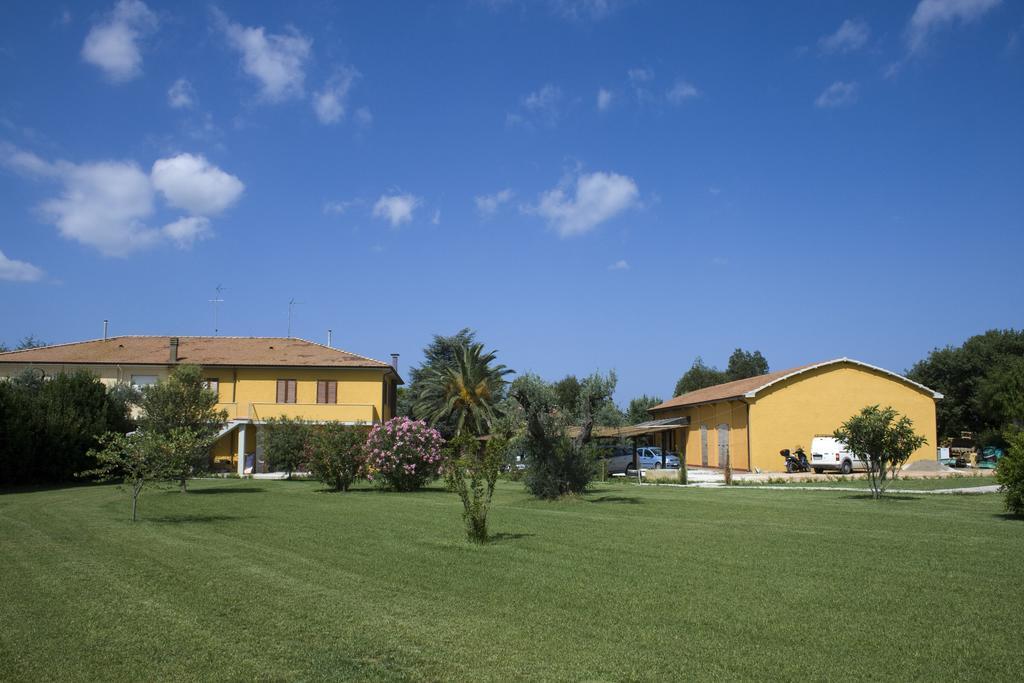 Agriturismo Eucaliptus Bolgheri Dış mekan fotoğraf