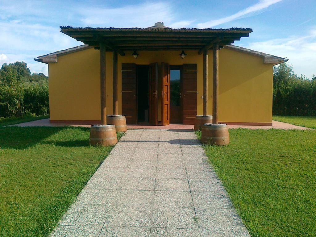 Agriturismo Eucaliptus Bolgheri Dış mekan fotoğraf