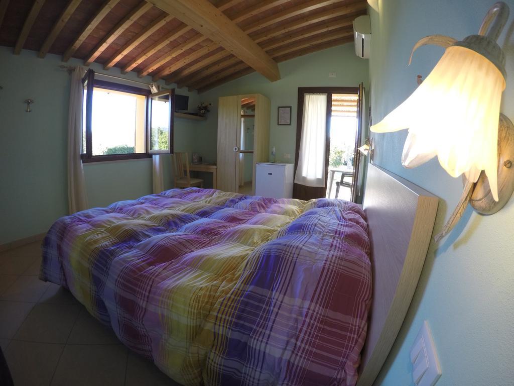 Agriturismo Eucaliptus Bolgheri Dış mekan fotoğraf
