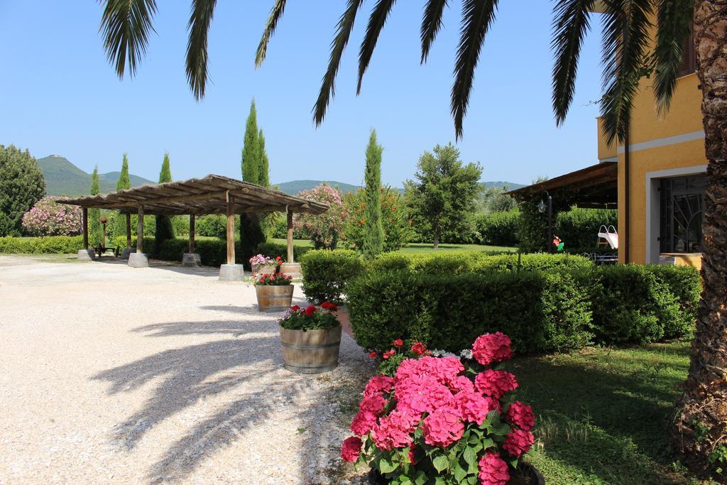 Agriturismo Eucaliptus Bolgheri Dış mekan fotoğraf